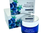 Crema Facial Antioxidante Con Extractos De Arandanos Bioaqua - Imagen 4