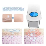 Galvanica Portatil Facial Y Corporal Microcorriente - Imagen 3