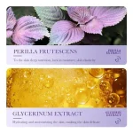 Crema Anti Edad Antioxidante Polipept Perilla 60Gr - Imagen 3
