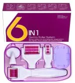 Dermaroller 6 En 1 - Kit Rodillos faciales - Imagen 4
