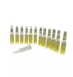 Ampolla Vitamina E Kiss Beauty 2ML